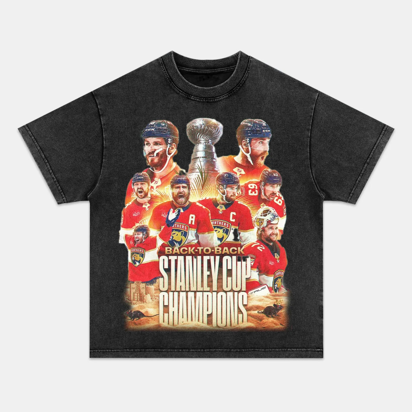 Florida Panthers Stanley Cup Champions Vintage Graphic Tee — product image 1